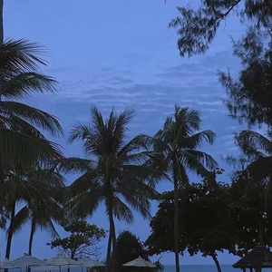 欧美老年夫妻裸体海滩视频
